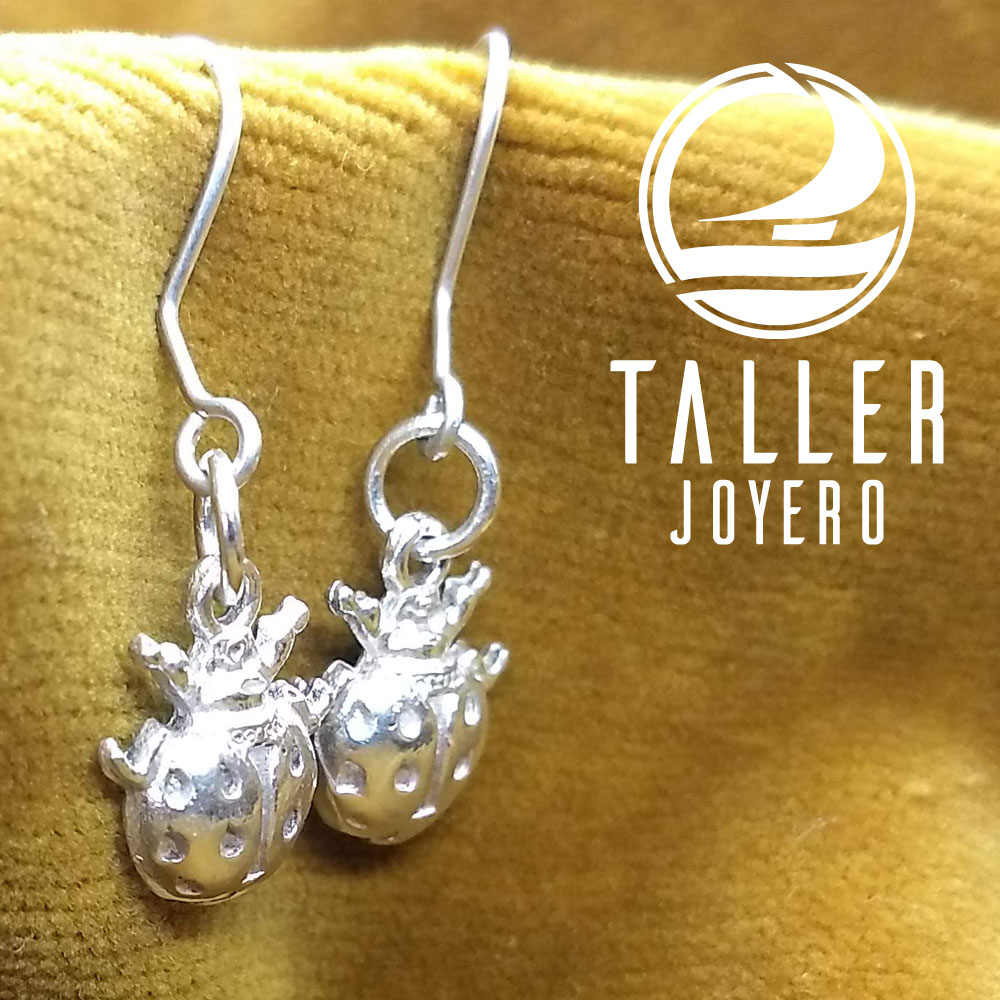 Aros Plata Cochinilla 01 -003 tallerjoyero.cl